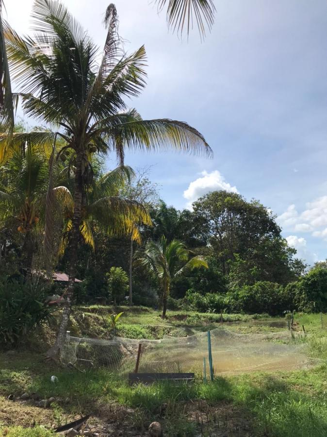 Homestay Bendang Hilir Kuala Nerang Екстер'єр фото